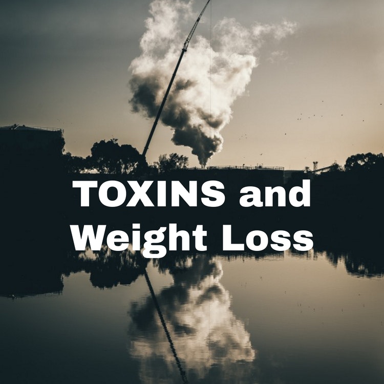 Read more about the article Why Can’t I Lose Weight? Part 2 – Environmental Toxins